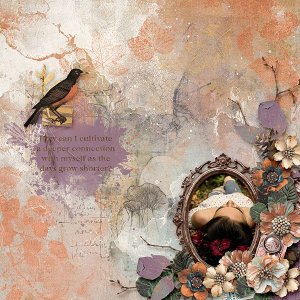 Border Chall #4  /Nov 2025