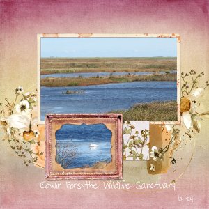 Nov Challenge 6 - 52 Inspirations.jpg