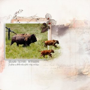 Challenge 5 photo-editing.jpg