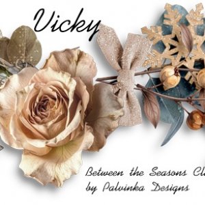 2025 November Siggie