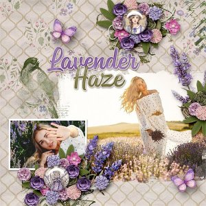 Lavender Haze