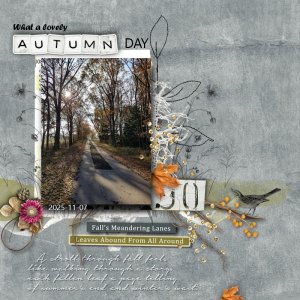 What a lovely Autumn Day.jpg