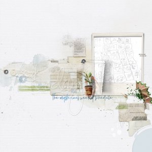 the mysterious weekly schedule