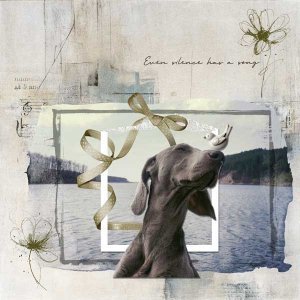 Even Silence Has a Song