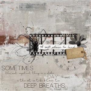 November AJ Challenge Week 2 {Savor}