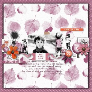 Everyday Delight.jpg