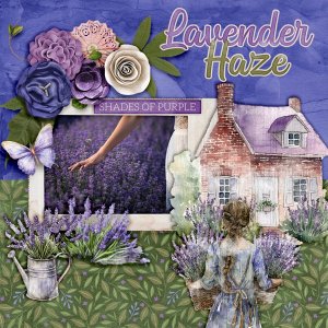Lavender-haze.jpg