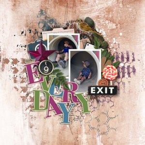 carols nov tem challenge.jpg