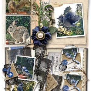 251112 (Experimental) 1000