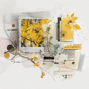 2025.11 Automne jaune.jpg