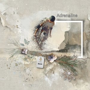 Adrenaline.jpg