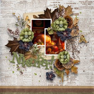 Nov 2025 Designer Challenge Carol W Designs