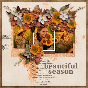 Nature In Autumn-Collection