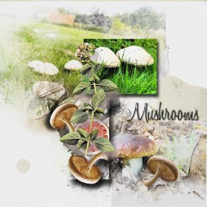Mushrooms