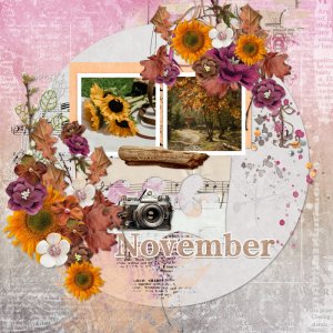 Nature in autumn.jpg