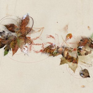 dancing leaves aA color-lift 11.25.-12.05.2025