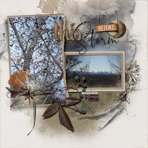 Quiet Before the Storm