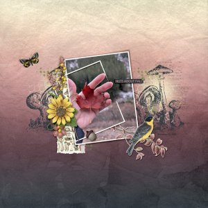 November Challenge #5- Creative Photo Editing nuts-about-fall.jpg