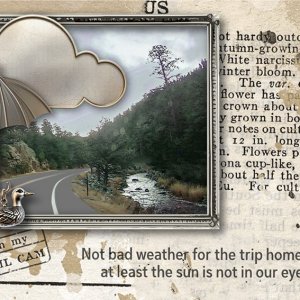 Not Bad Weather (ATC)