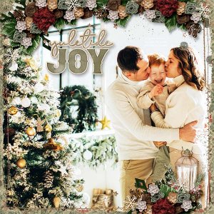 Yuletide Joy