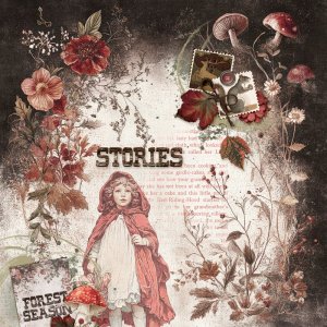 STORIES.jpg