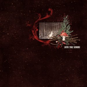 into-the-woods.jpg