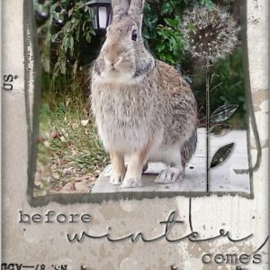 Before Winter Comes (ATC)