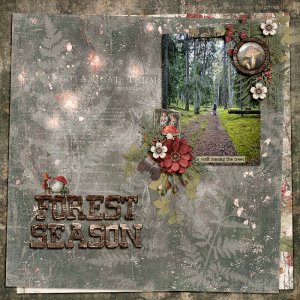 Forest Season