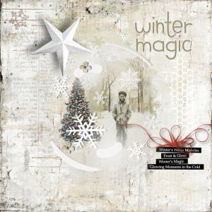 Winter Magic.jpg
