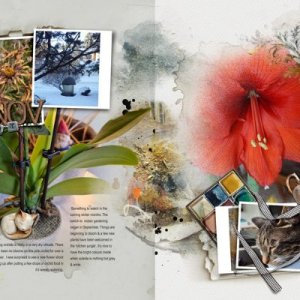 Review November 2025