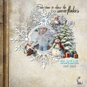 2025 11 Chase The Snowflakes