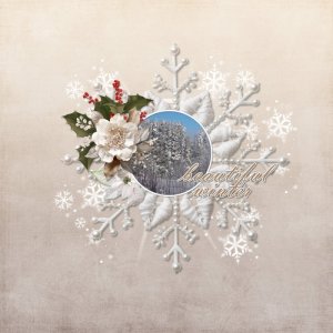 Beautiful winter.jpg