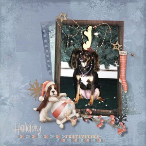 DAY 4 - One Word Challenge:  Harley 2000