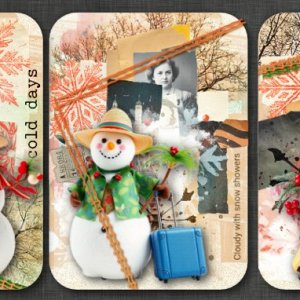 DAY 3 Too Cold for a Snowman