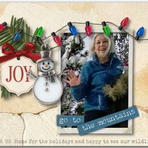 Home for the Holidays