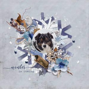 Day 1 - TemplateChallenge