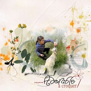 donner le biberon aux agneaux