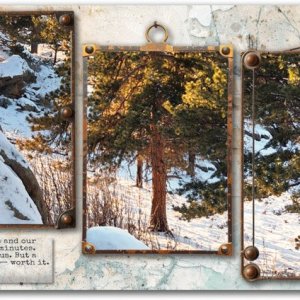 A Sunny Day with New Snow