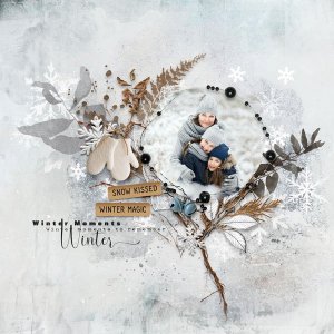 Frosted Memories by et designs.