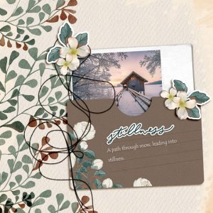 2025 12 Days of December-DAY 9 - ONE photo