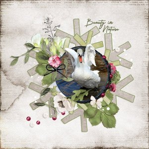 Day 1 - 12 Days of December