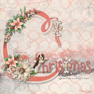 DAY-10-Chain-Scraplift