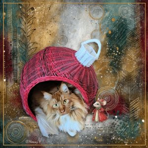 MERRY, MERRY from Odin