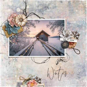 DAY 9 - Use ONE of these photos | CHALLENGE