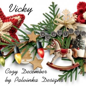 2025 December Siggie.jpg