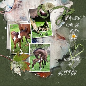 Day 12: Xmas challenge.jpg