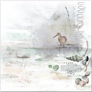 Day 10 - Eastern Willet