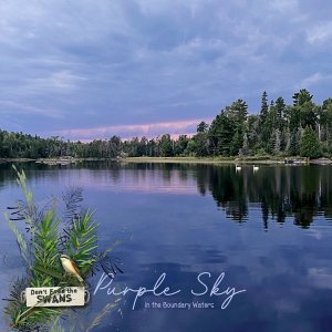 Purple Sky Day10.jpg