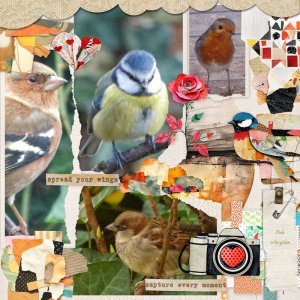 Birds Collage.