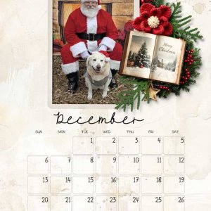 cozy-december-calender--zoe.jpg
